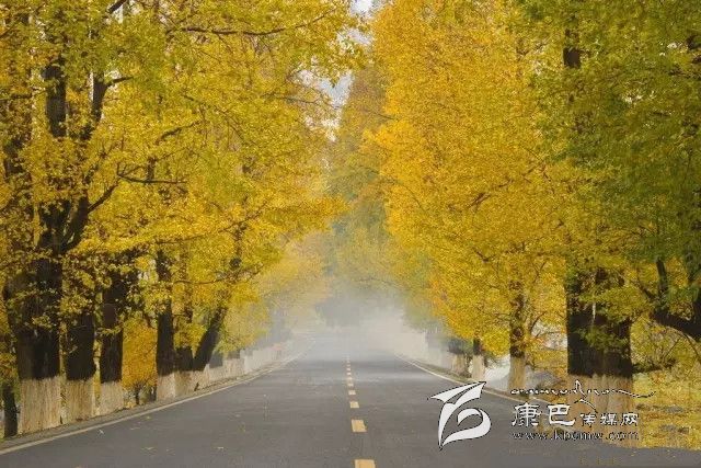 康定新都橋，有一條黃金大道通往夢(mèng)中的天堂