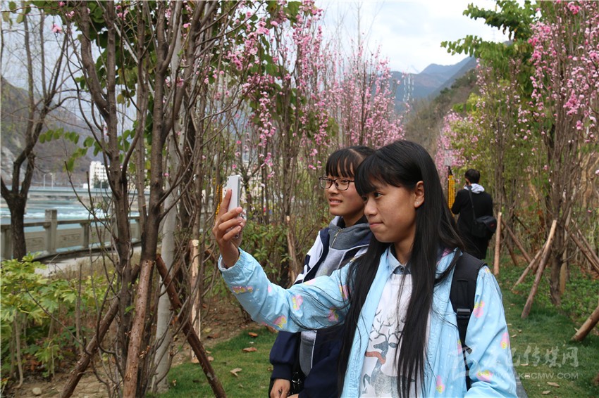 春光俏！“醉”是瀘定春三月，踏青賞花正當(dāng)時(shí)