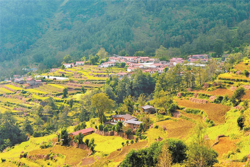 掩映在綠.jpg 掩映在綠.jpg