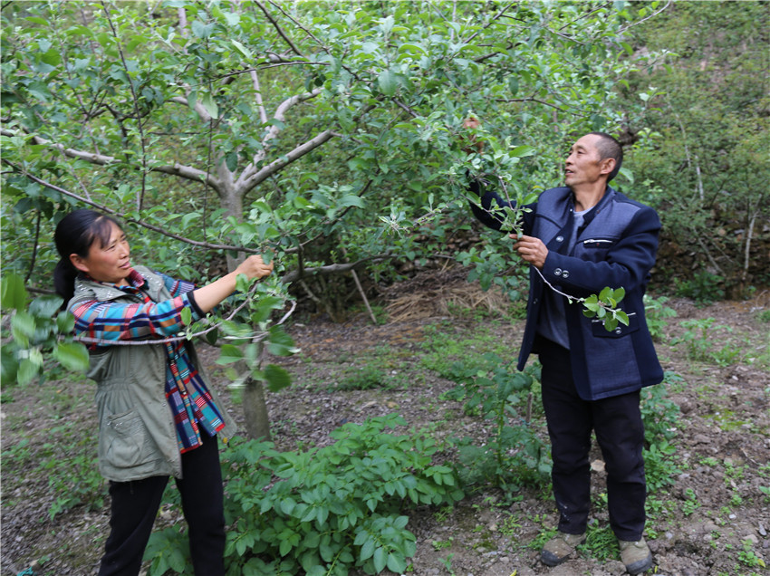 彭萬(wàn)林.jpg 彭萬(wàn)林.jpg